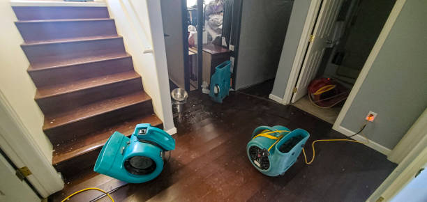 Best Local water damage restoration  in Terrebonne, OR