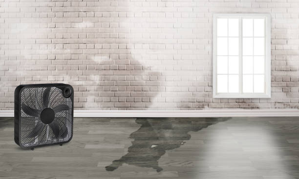 Best Carpet water damage restoration  in Terrebonne, OR