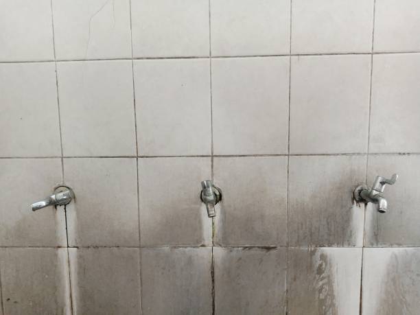 Best Water damage restoration near me  in Terrebonne, OR