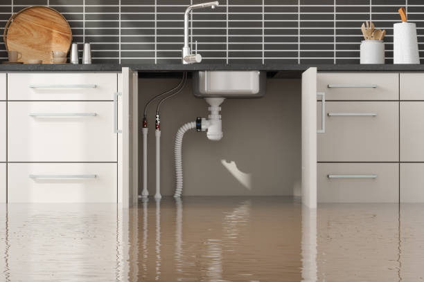 Best Flood restoration services  in Terrebonne, OR